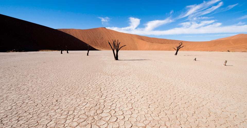 Dead Vlei, Namib-Naukluft National Park, Namibia.