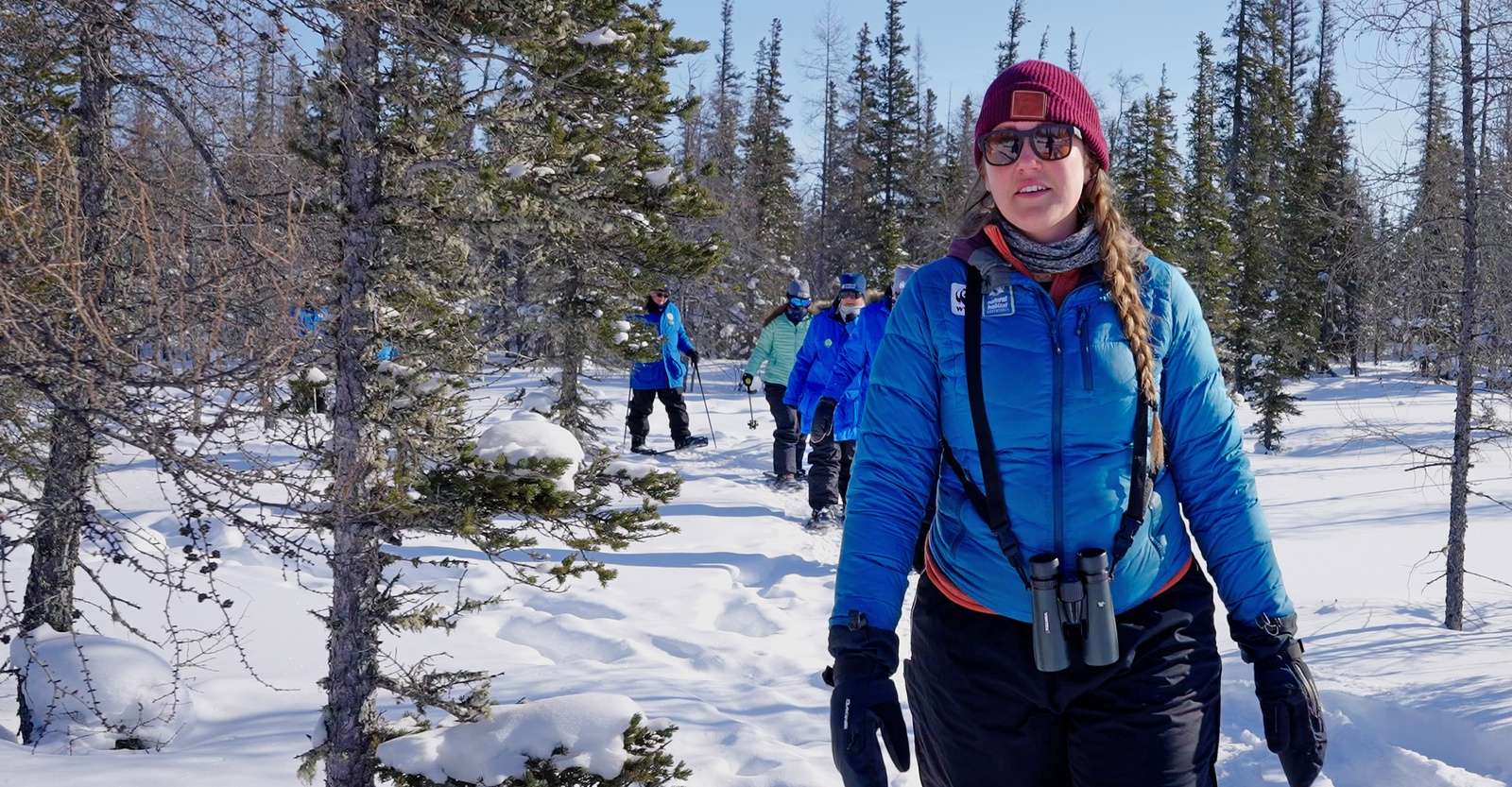 Expedition Leader Lianne Thompson guiding Nat Hab guests, Churchill, Manitoba.