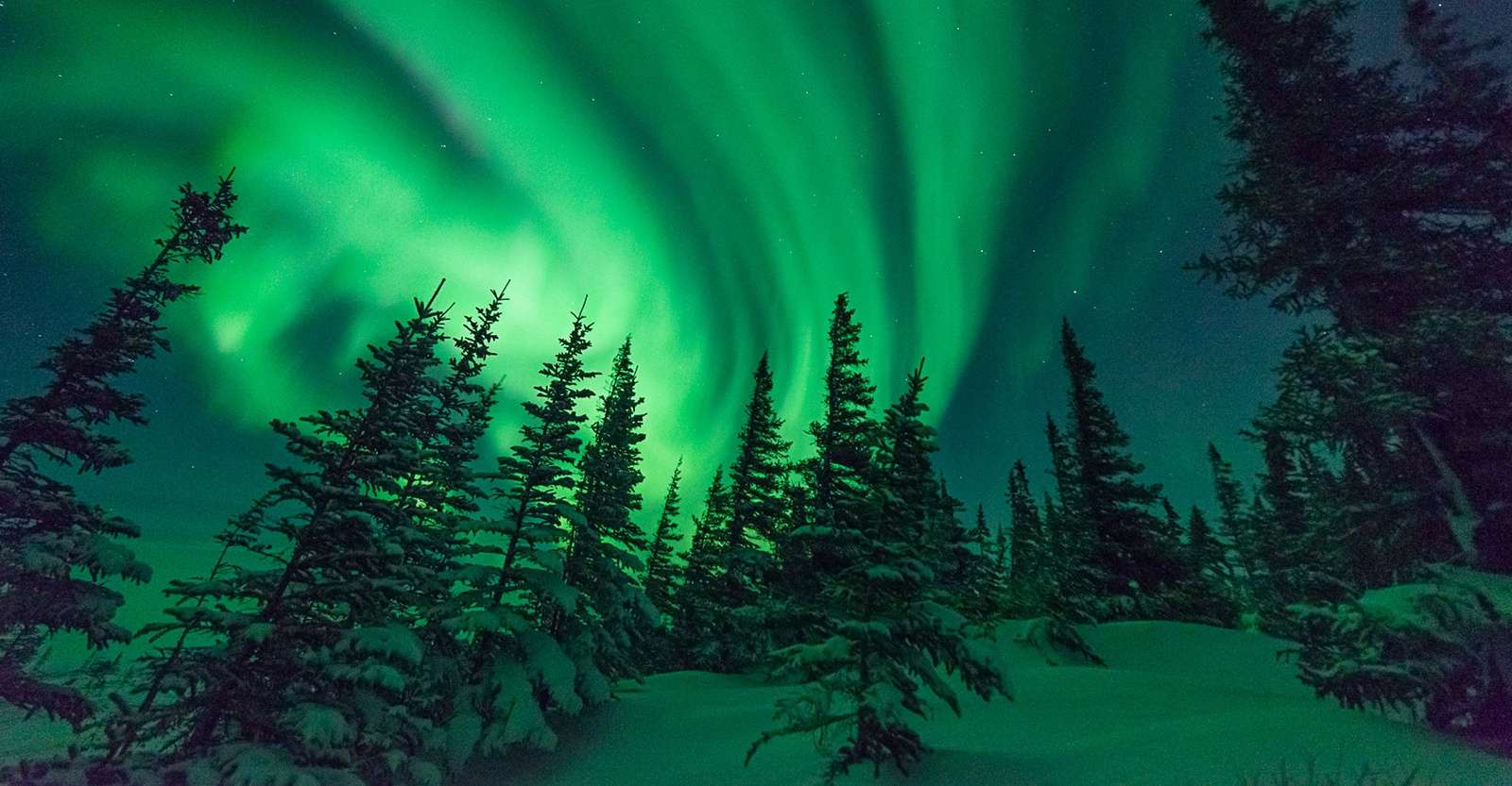 Northern lights in the boreal forest, Churchill, Manitoba.