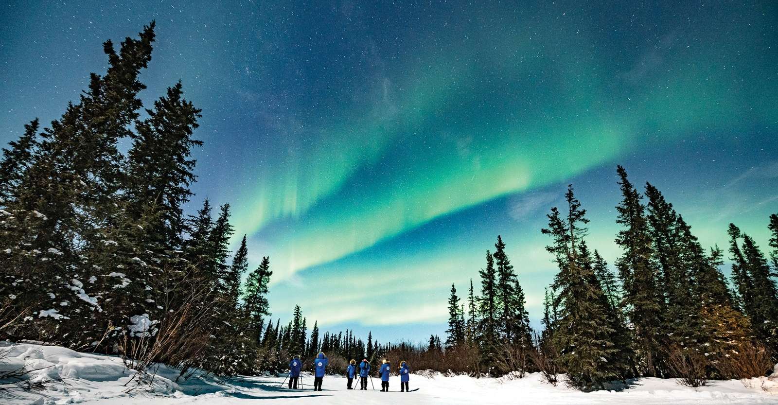 Nat Hab guests viewing northern lights in the boreal forest, Churchill, Manitoba.