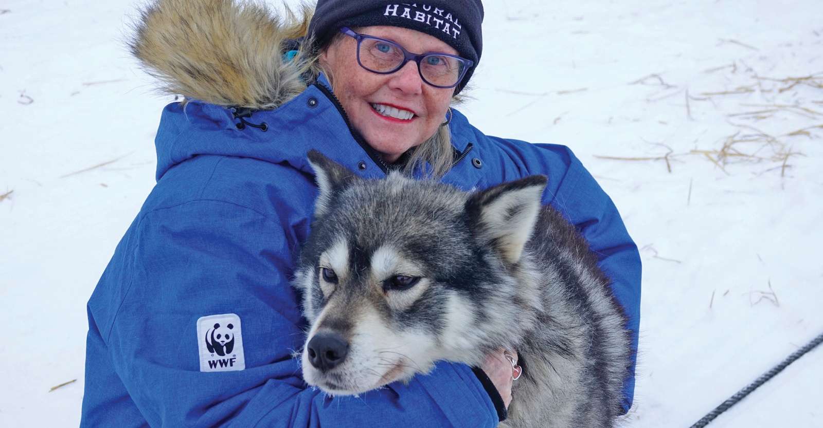 Nat Hab guest holding a sled dog, Churchill, Manitoba.