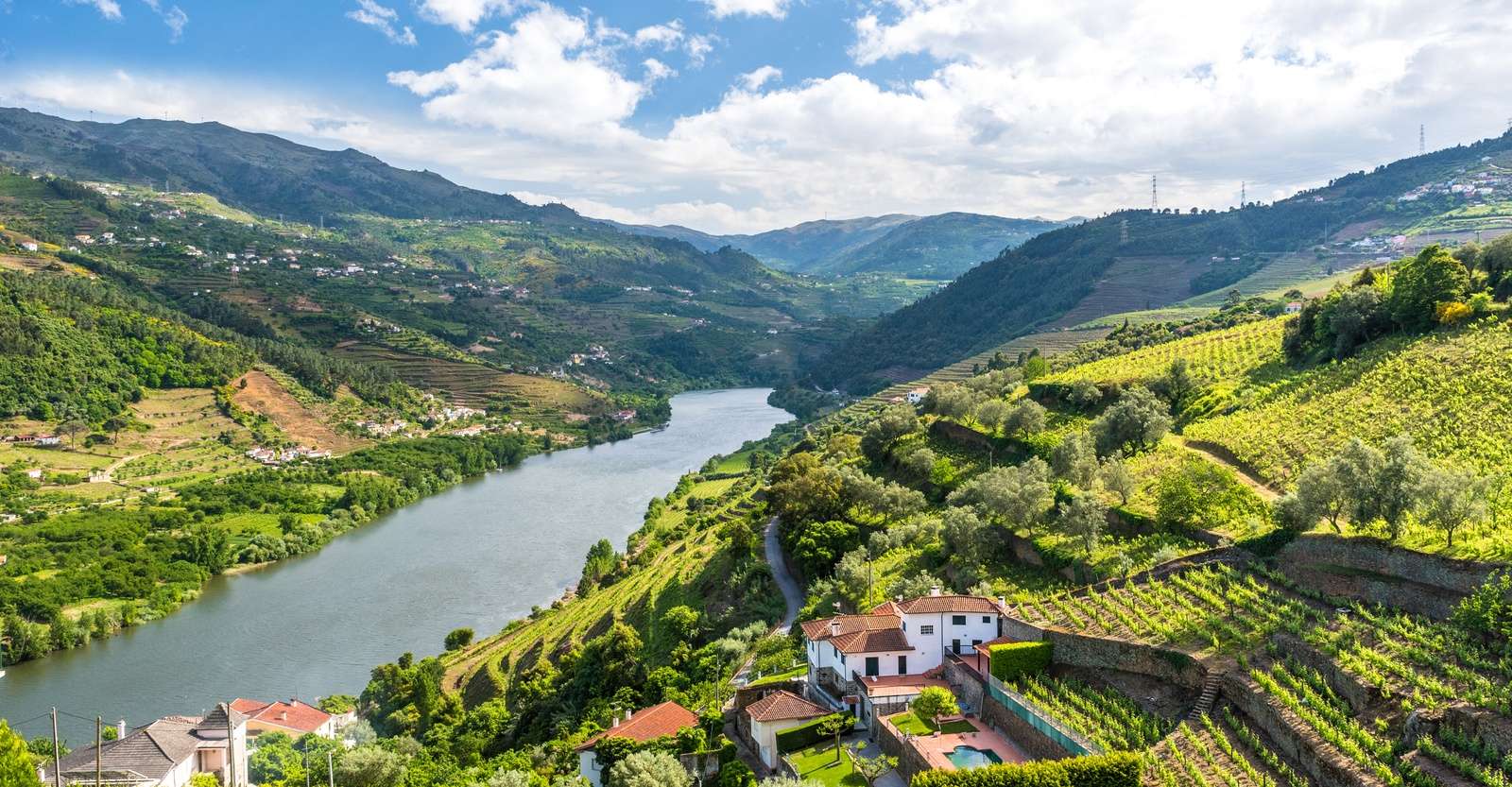 Vineyards, Douro River, Douro Valley, Portugal.