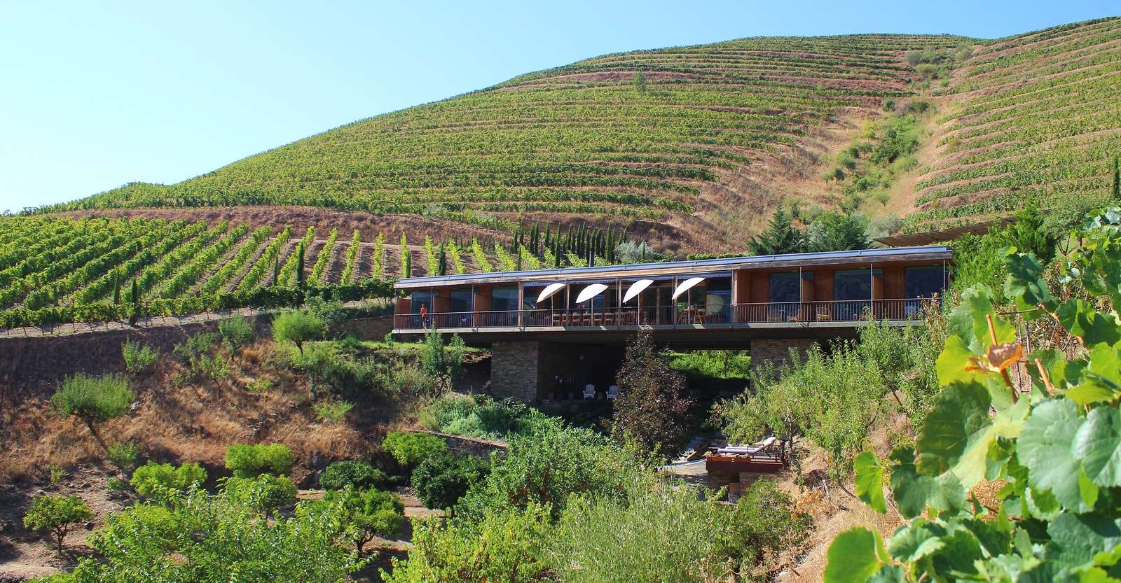 Casa do Rio guesthouse and Quinta do Vallado vineyards, Douro Valley, Portugal.