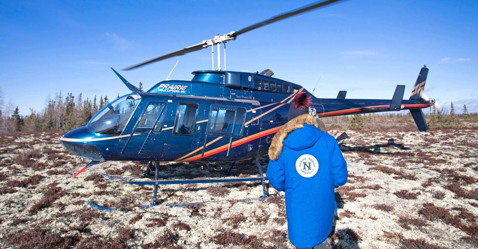 Nat Hab guest boarding helicopter, Churchill, Manitoba.