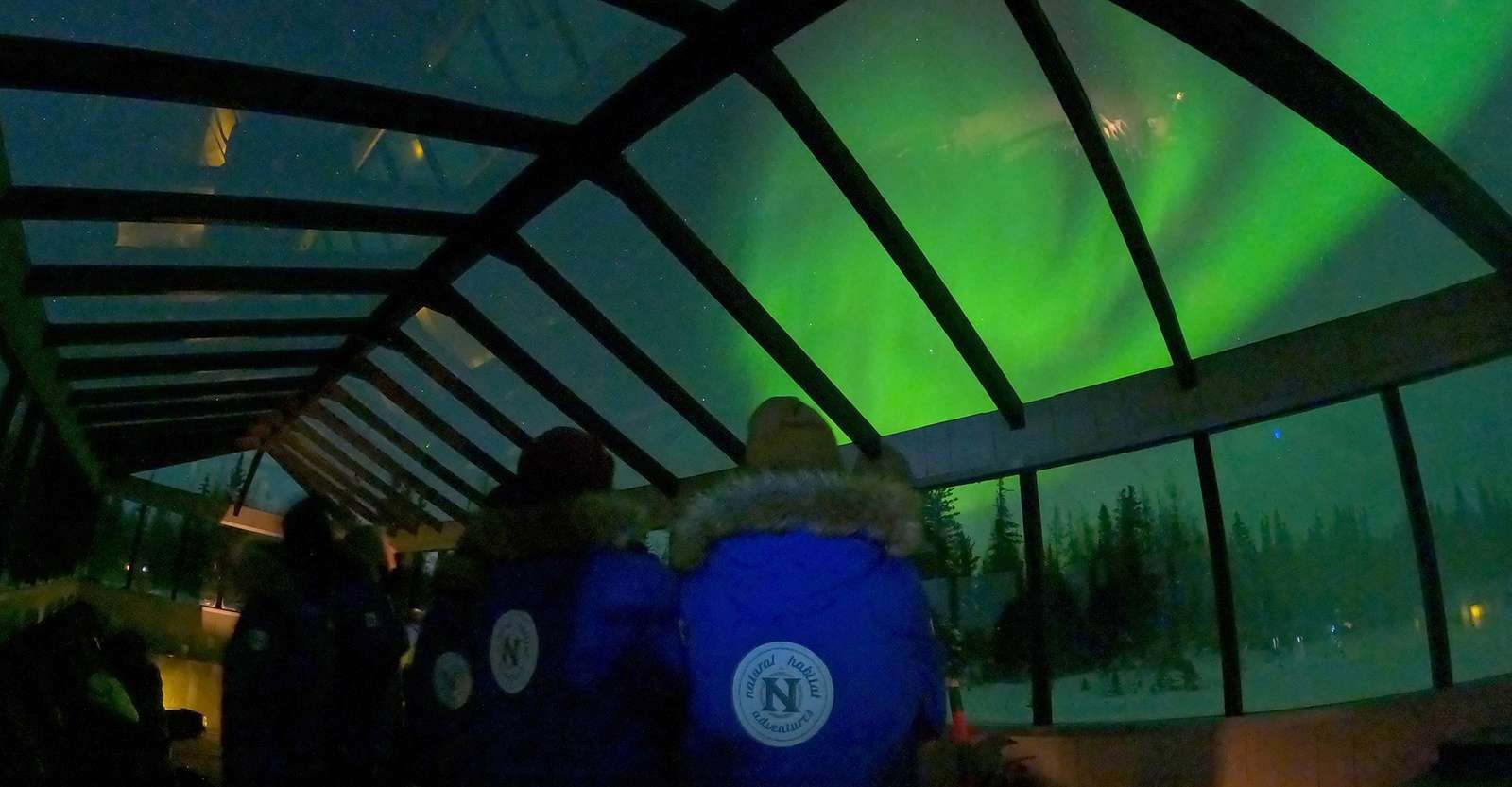 Travelers viewing northern lights from inside Nat Hab