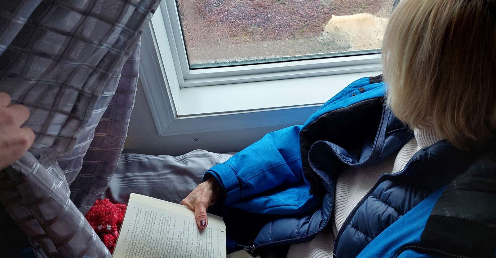 Traveler viewing polar bears from bed in Nat Hab