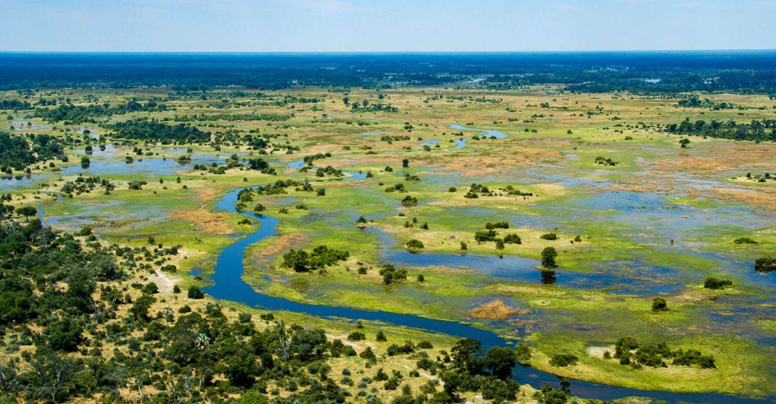 Okavango Delta, Botswana.