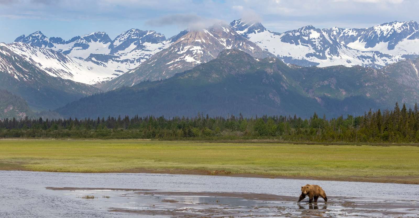 Brown bear, Lake Clark National Park & Preserve, Alaska.