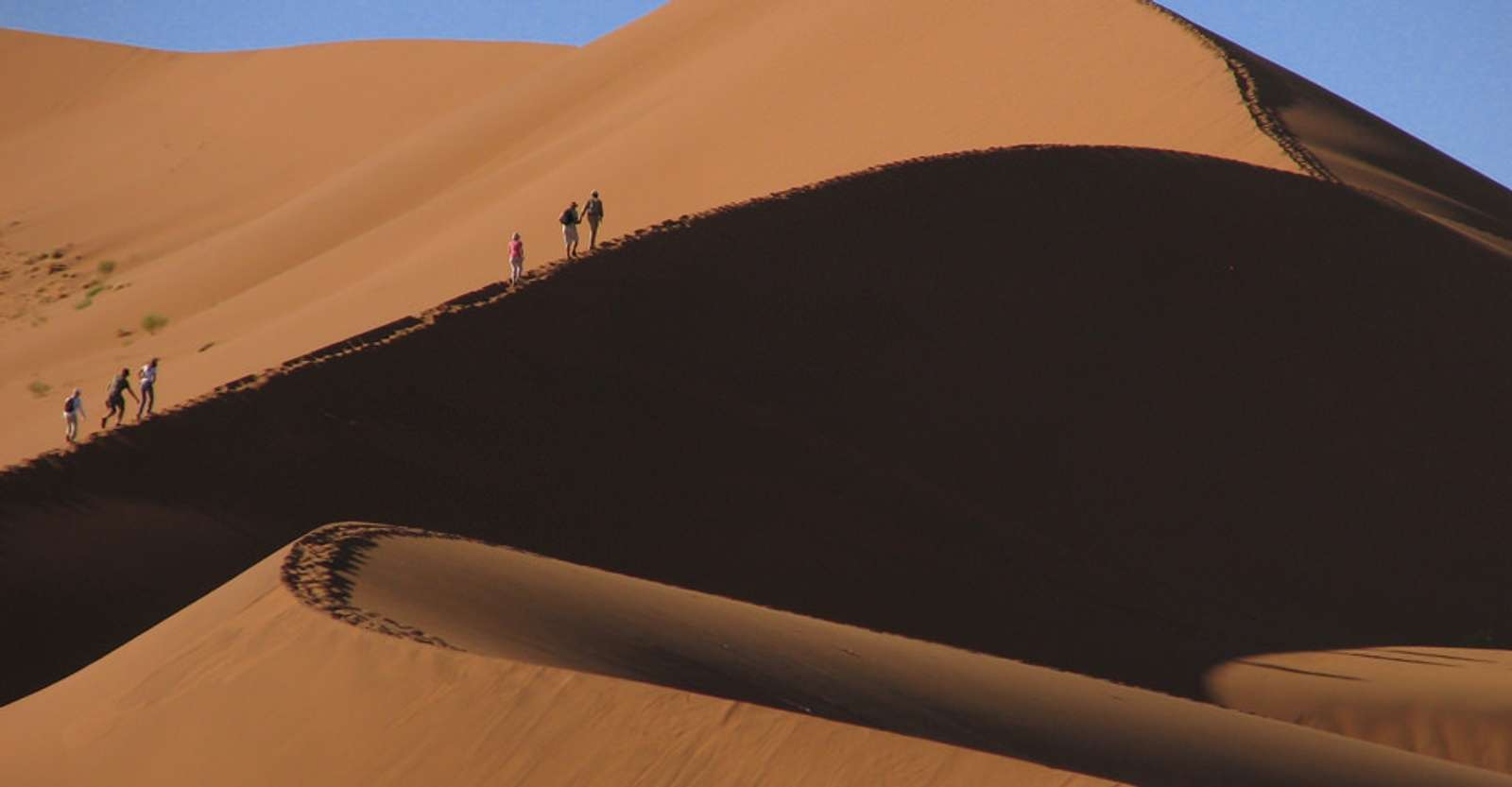 Guests hiking dune, Sossusvlei, Namib-Naukluft National Park, Namibia.