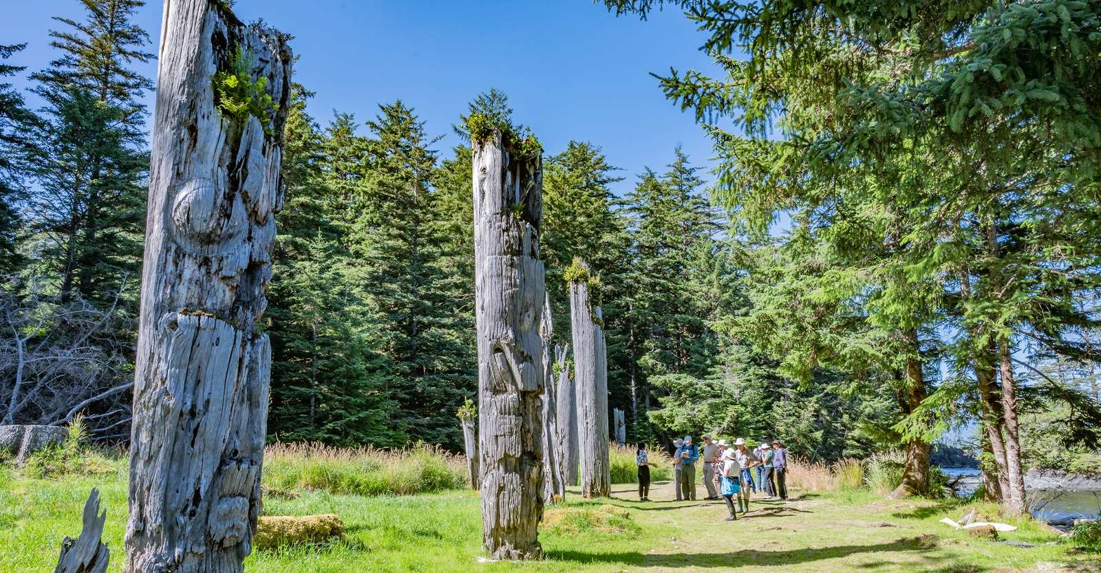 Nat Hab guests and totem poles, SGaang Gwaii, Haida Gwaii, British Columbia.
