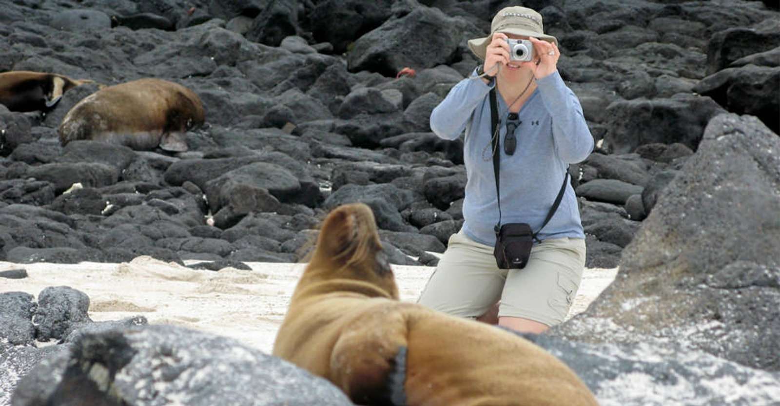 Nat Hab guest and Galapagos sea lions, San Cristobal Island, Galapagos, Ecuador.