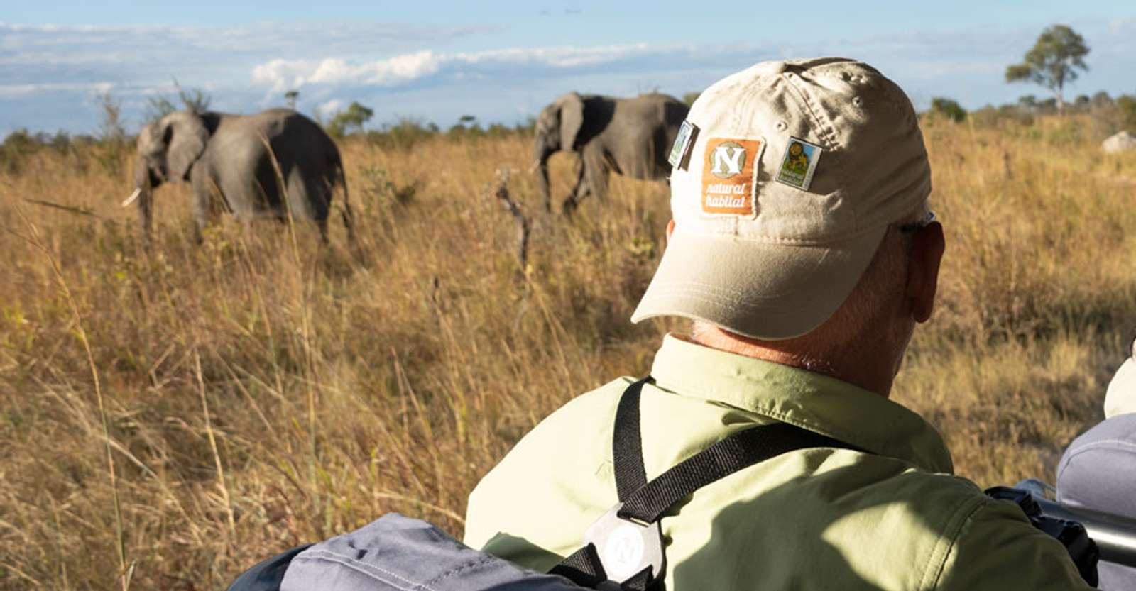 Nat Hab guest and elephants, Hwange National Park, Zimbabwe.