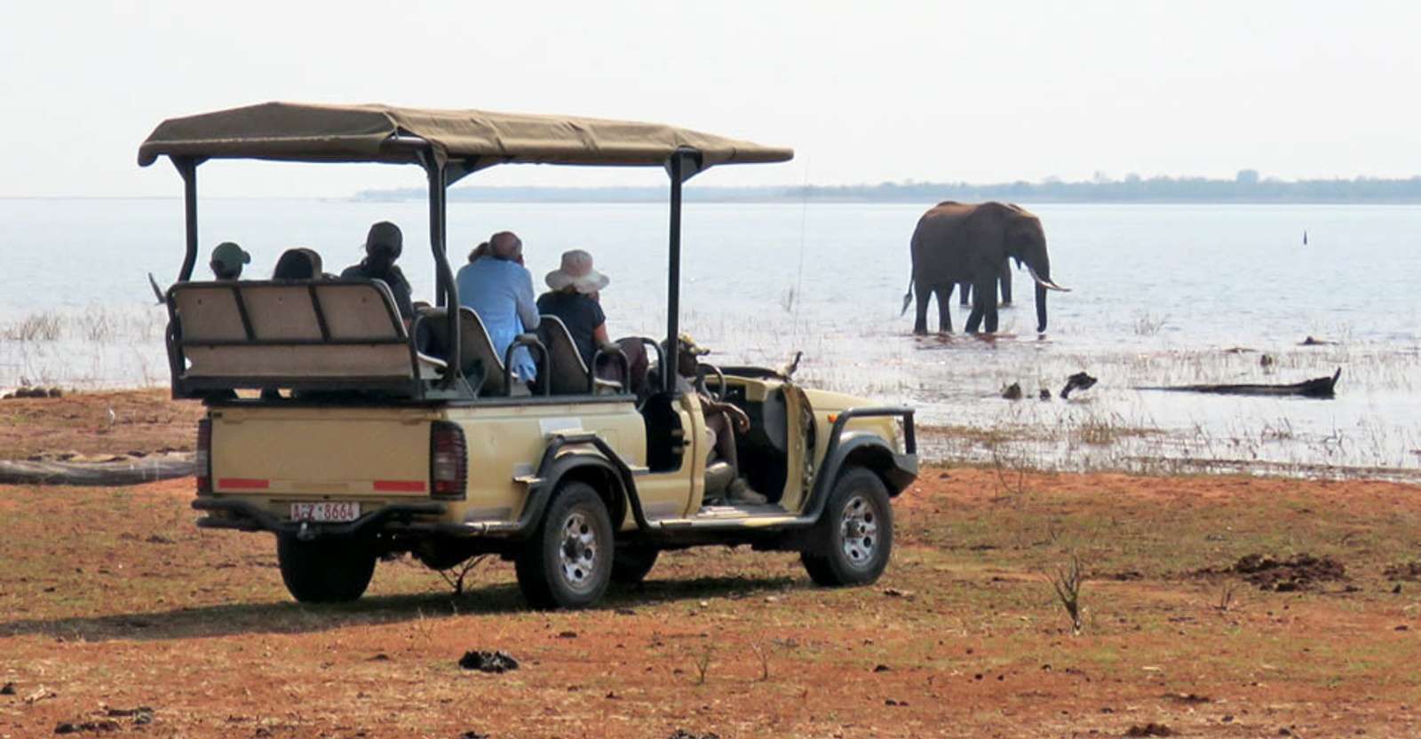 Nat Hab guests and elephant, Matusadona National Park, Zimbabwe. 
