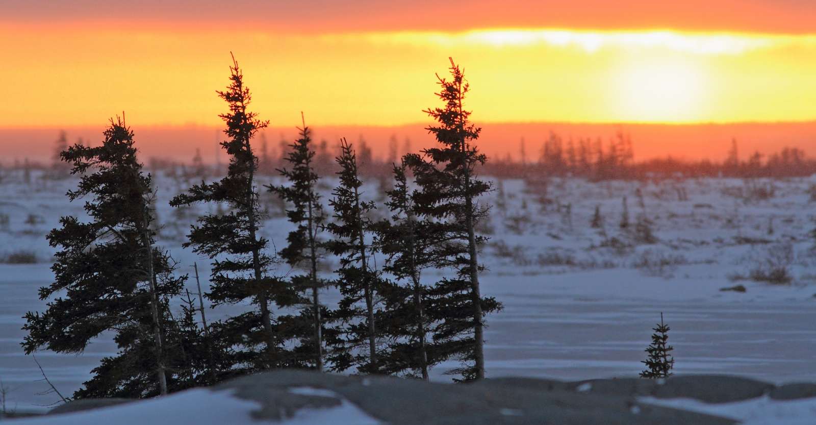 Tundra sunset, Churchill, Manitoba.