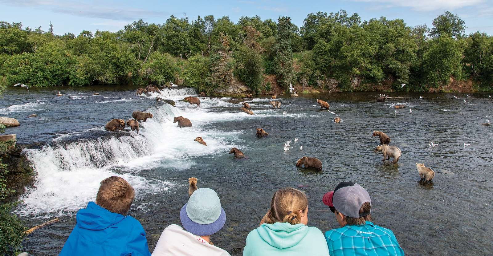 Nat Hab guests viewing brown bears at Brooks Falls, Katmai National Park & Preserve, Alaska.