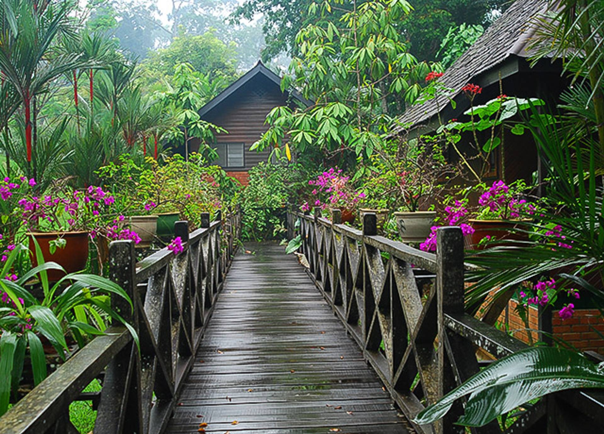 Sepilok Nature Resort | Lodges | Natural Habitat