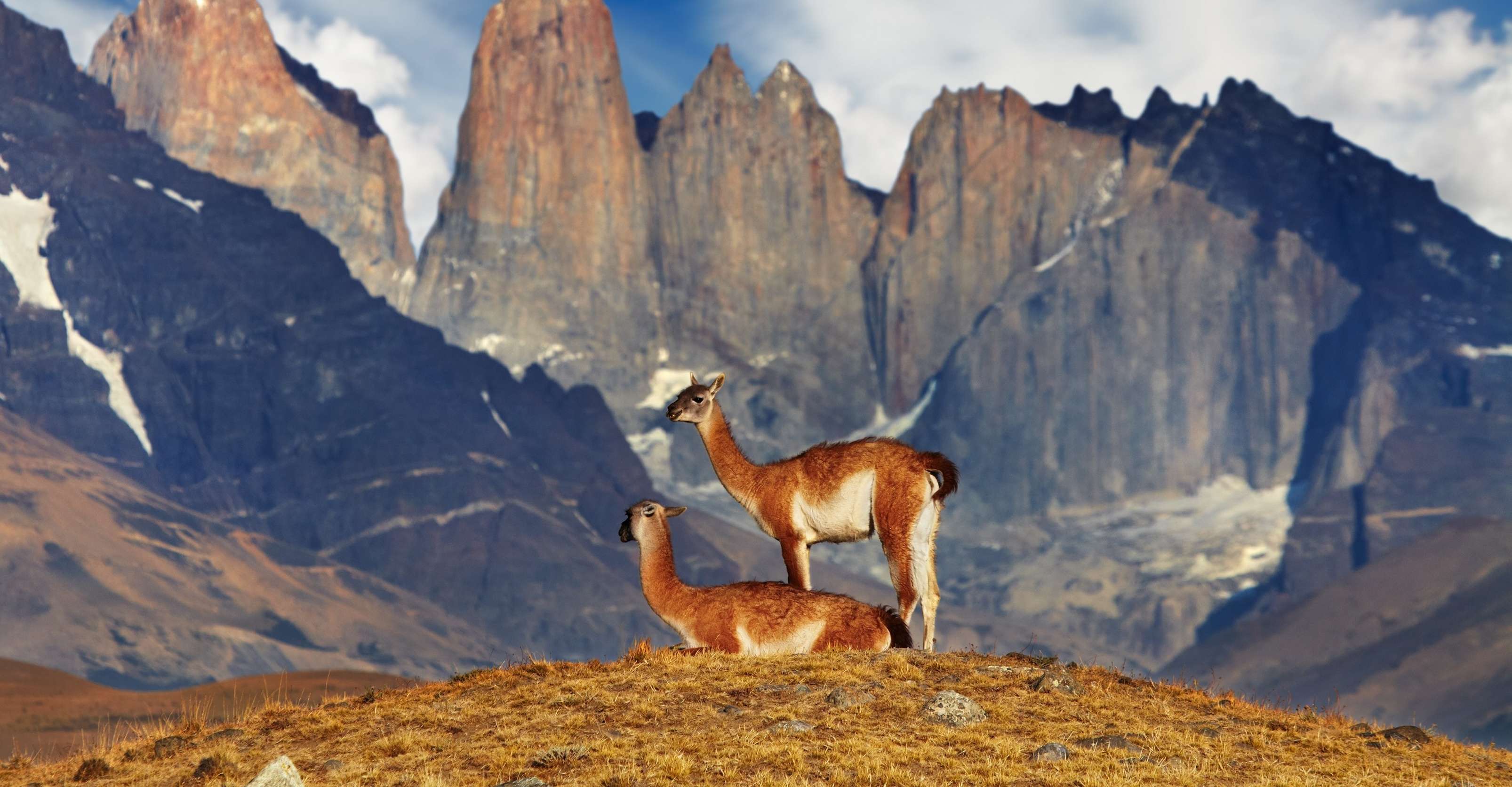Patagonia Adventures | Patagonia Tours | Natural Habitat