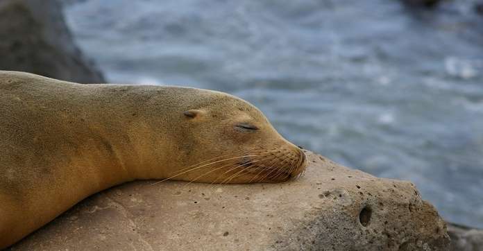 Galapagos Islands Travel Stories News