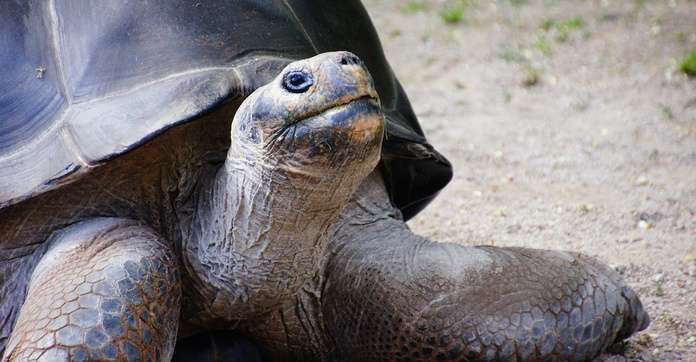 Galapagos Islands Travel Stories News